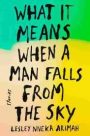 Review: When a Man Falls From the Sky